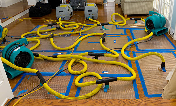Professional Burst Pipe Water Damage technician working in Atlantic Highlands, NJ